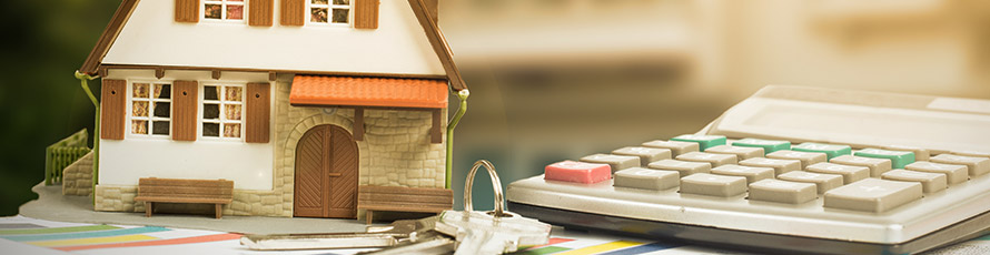 Confiscatoriedad de la plusvalía