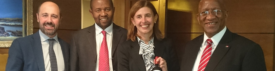 sudáfrica empresas españolas