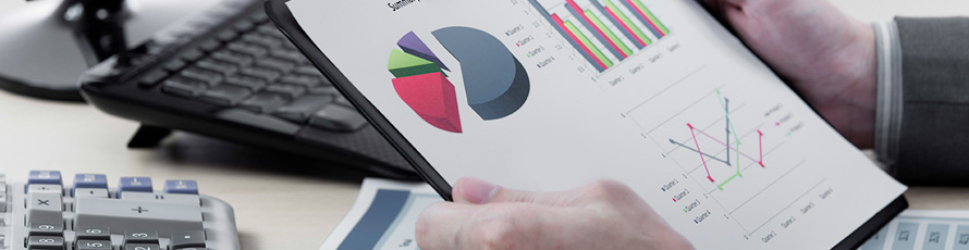 Impuesto de Actividades Económicas